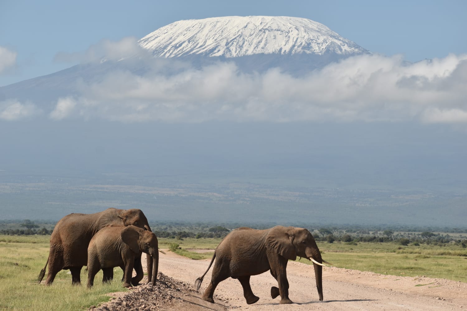 Amboseli National Park